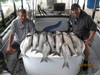 (05/25/2018) - Nice Striped Bass